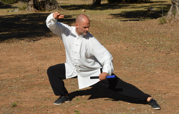 Dessin d'une posture d'exercices de Taiji Quan